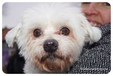 thumbnail: null