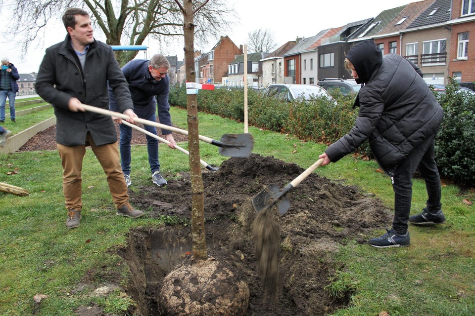 Rik Verwaest, Peter Van Es en Myron Claes (leerling VTI) planten de Anne Frank-boom aan het Sionsplein. 