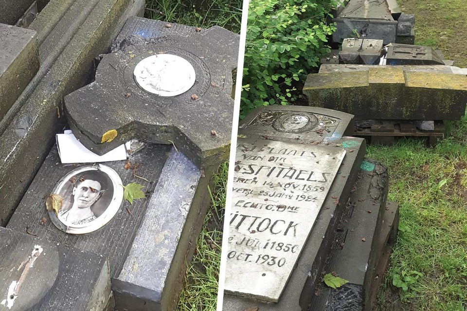 Park Ter Beuken in Lokeren ligt dezer dagen vol met oude zerken en grafstenen