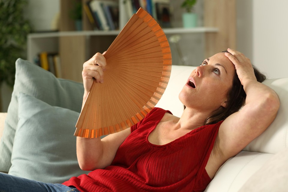 Vapeurs, minder zin in seks, gewrichtspijn … de menopauze is een beproeving voor vele vrouwen.
