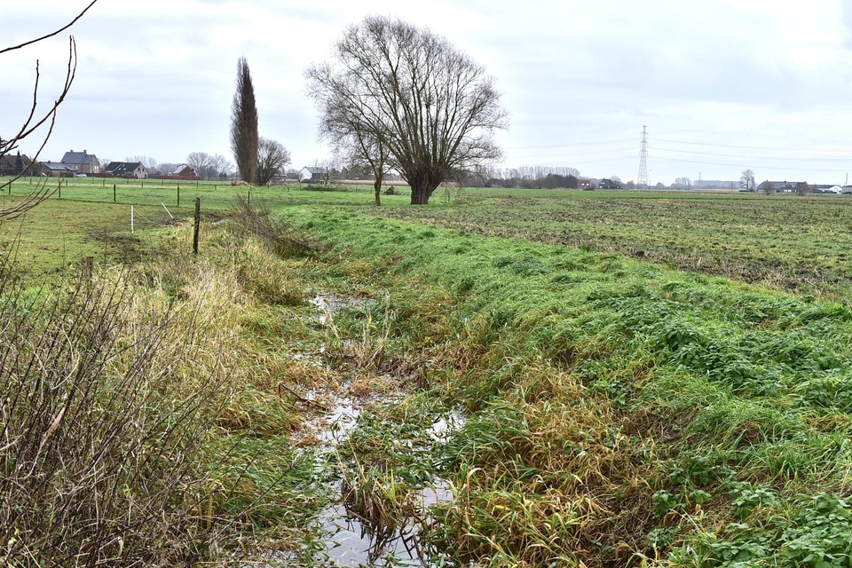 Kwaliteit oppervlaktewater gecontroleerd.
