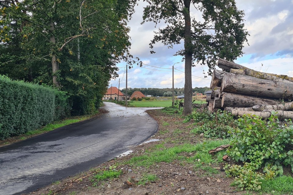 Langs de Netekant werden heel wat bomen gekapt.