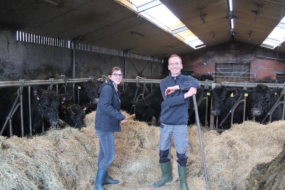 Nele Verheyen en Jeroen Van den Bulck tussen hun Black Angus-runderen.