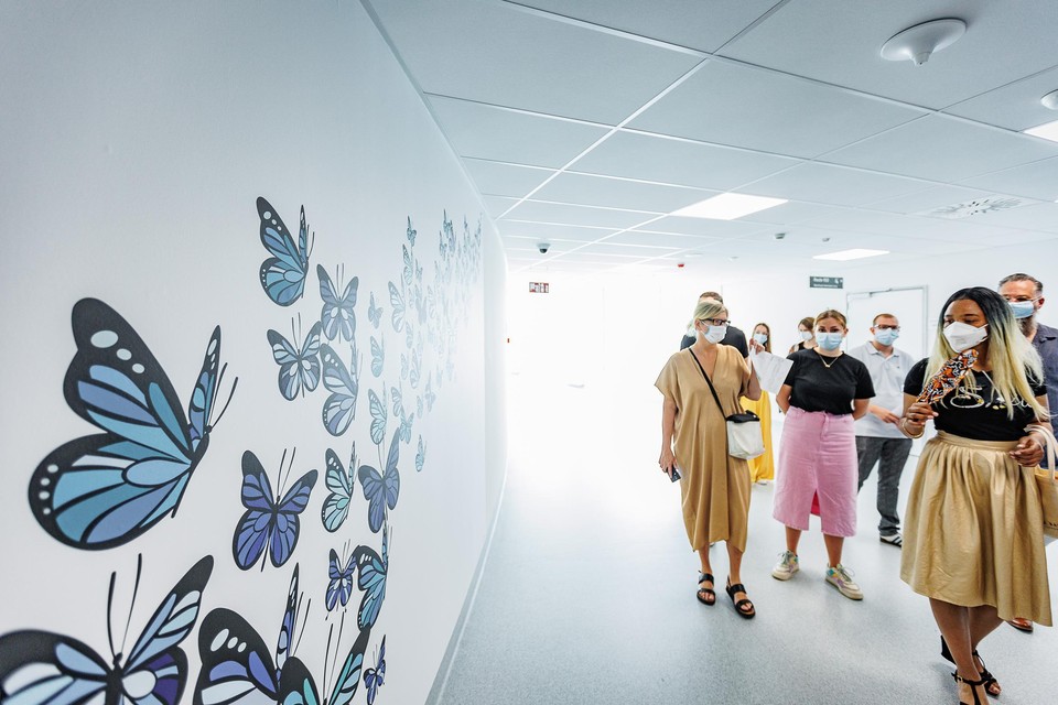 De muurdecoraties hebben volgens het ziekenhuis een psychologische invloed op patiënten en bezoekers.  