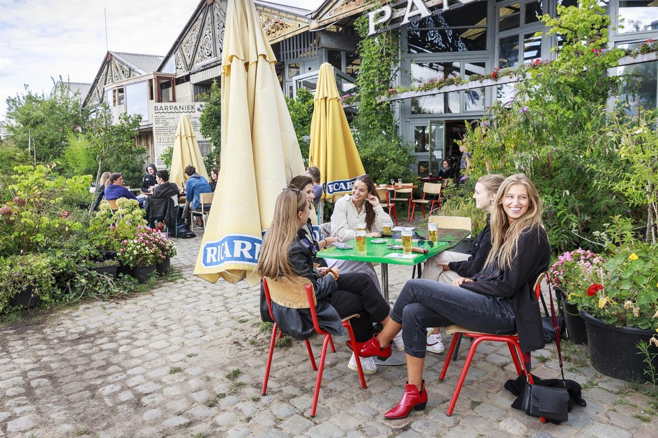 Bar Paniek op het Eilandje in Antwerpen.