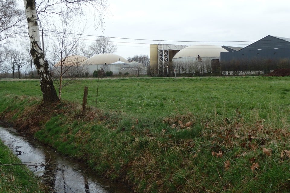 De installaties van Biogas De Biezen leveren genoeg stroom om een heel dorp van zesduizend gezinnen te voorzien van groene stroom. 