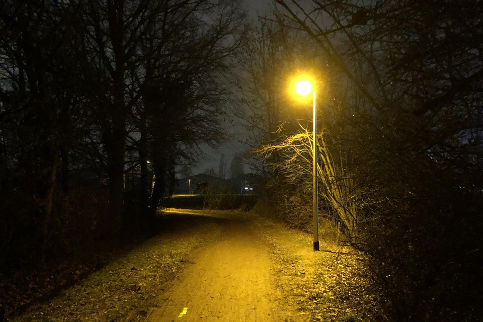 De nieuwe verlichting in de Sneppenbosweg.
