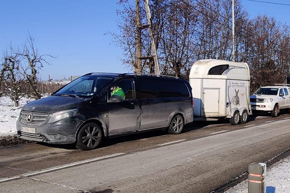 De paarden en pony’s werden weggehaald met drie trailers en een vrachtwagen.