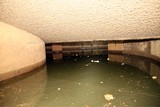 thumbnail: null