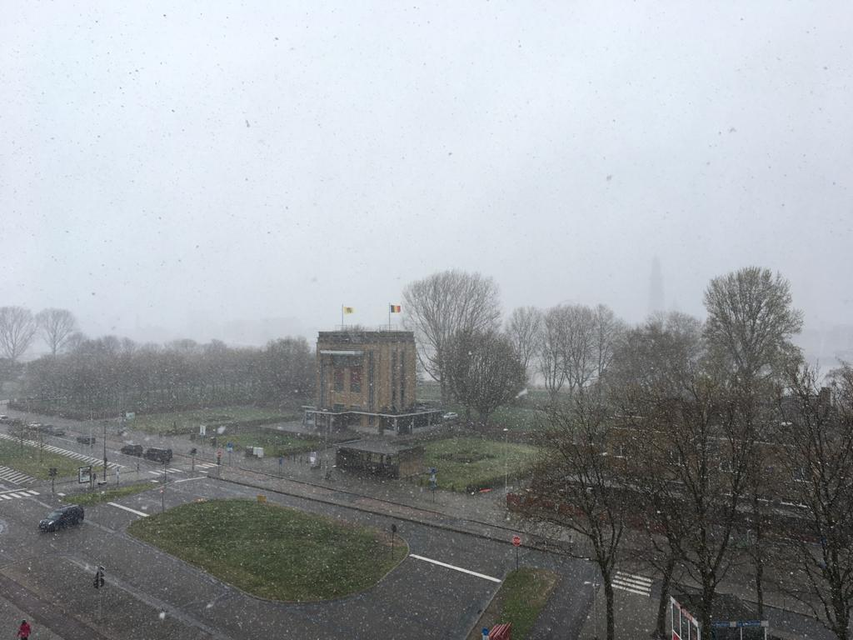 Sneeuw op Linkeroever.