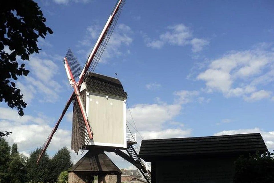 De windhaan in betere tijden en waar die thuishoort: op de achterzijde van het dak van de Molen van Larum.
