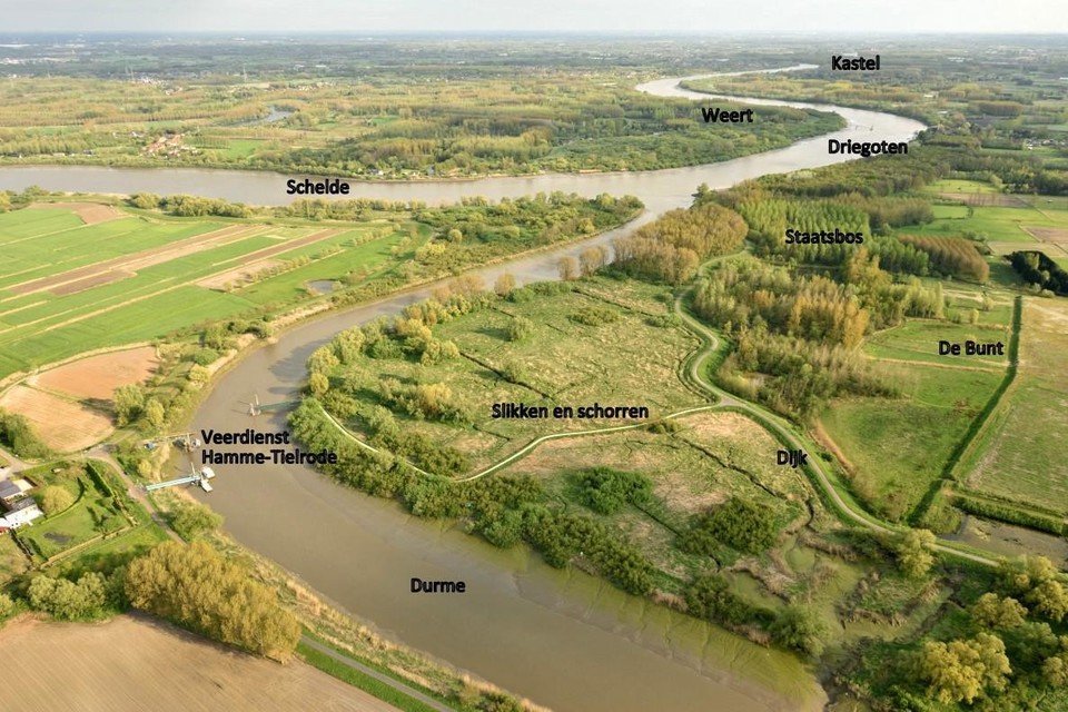 De monding van Schelde en Durme in Hamme is een cruciale plaats in het overstromingsgebied van De Bunt. 