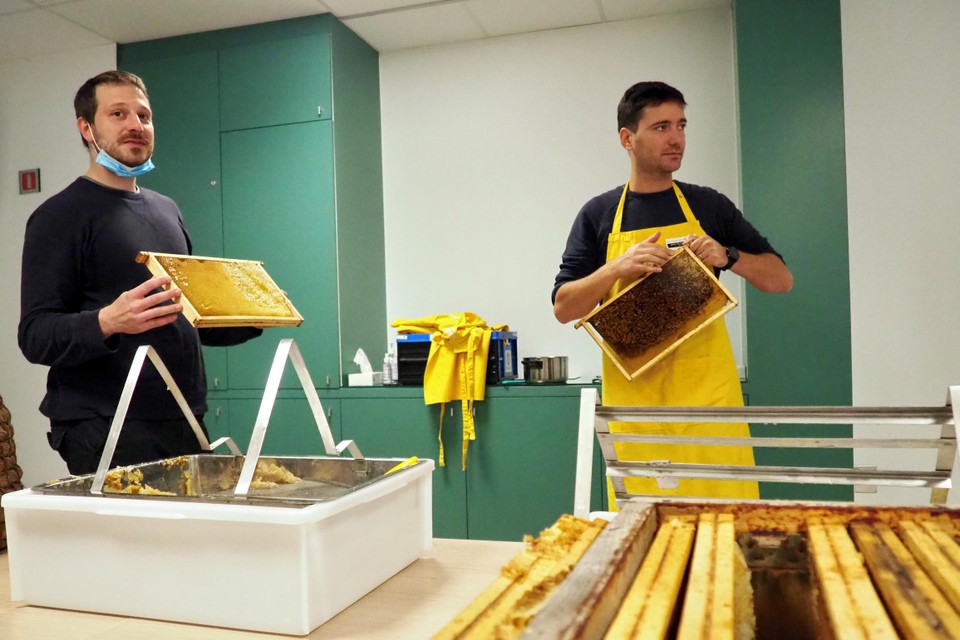 Imker Johan De Vleeshouwer (rechts) kreeg bij het oogsten van de honing hulp van Galapagos-medewerkers. 