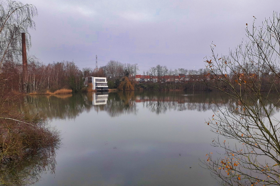 De binnenvijver van het Wetenschapspark waar POM Antwerpen een drijvend zonnepanelenpark wil bouwen.