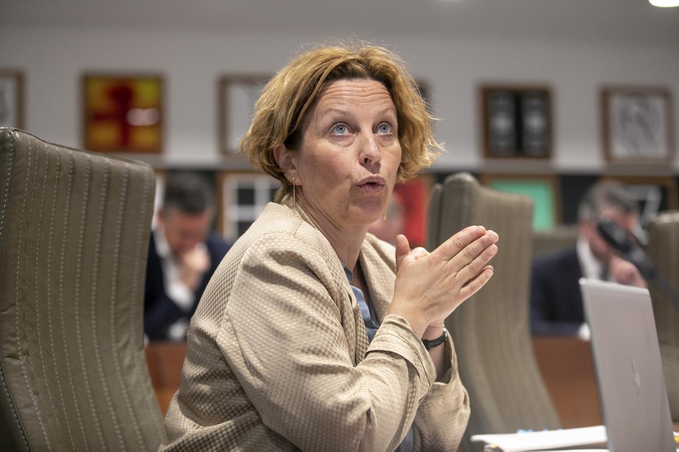 Flemish Member of Parliament Mieke Schauvliege (Green) 