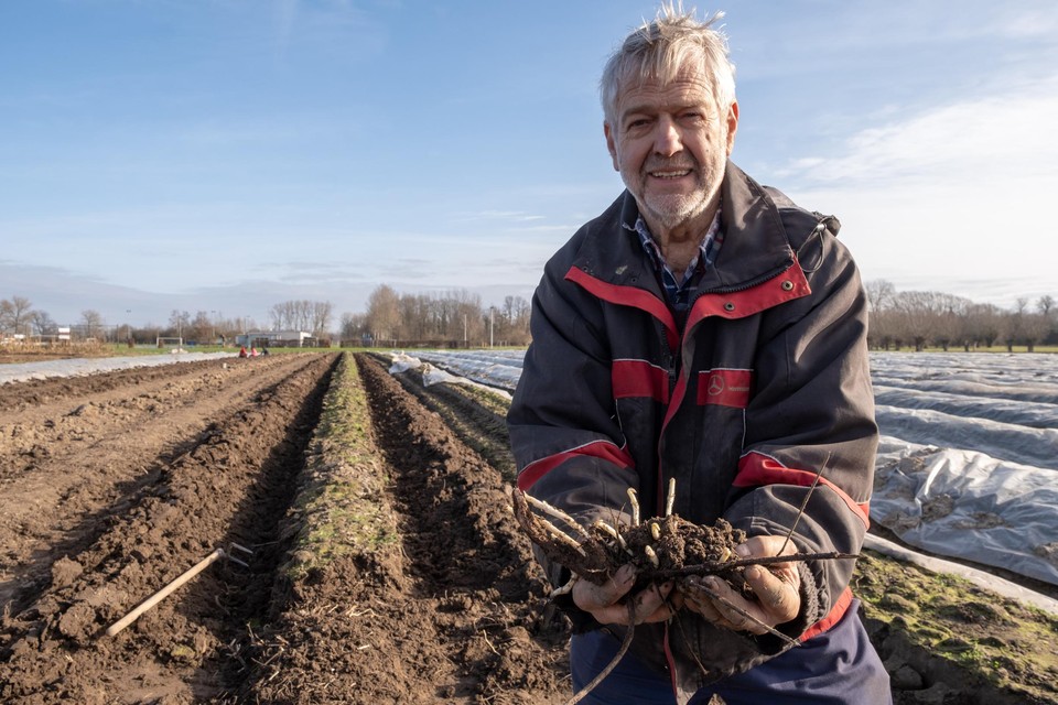 Hopboer Paul Temmerman met een van de eerste oogsten van het seizoen.