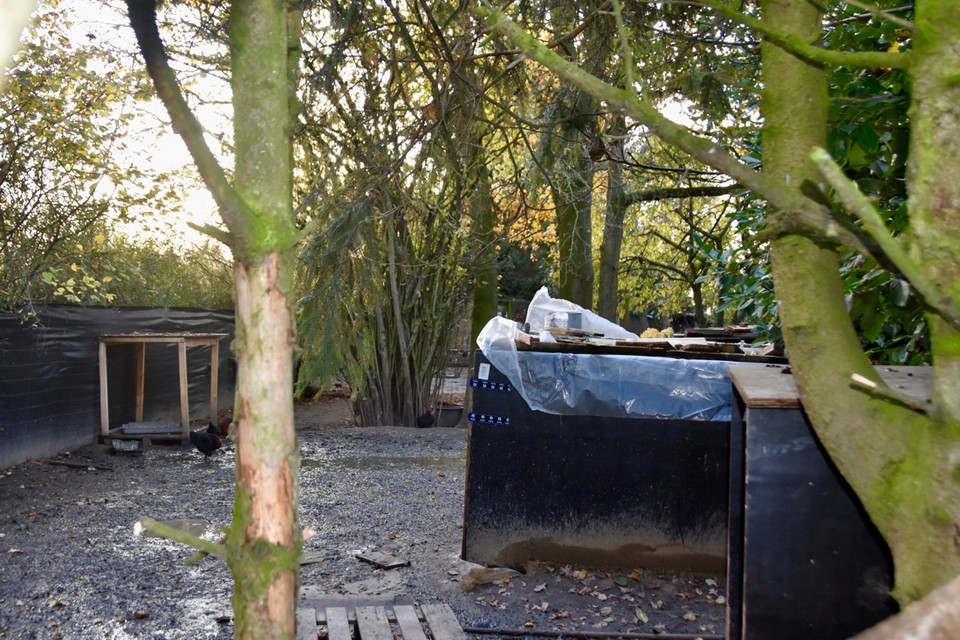 Op het terrein stonden kippenhokken. Via één kon worden afgedaald in een ondergrondse ruimte waar de plantage zich bevond.