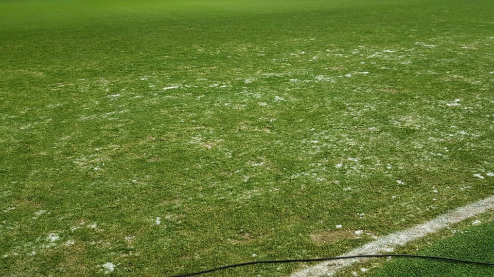 Deze strook is de grote boosdoener op het veld van KV Oostende.