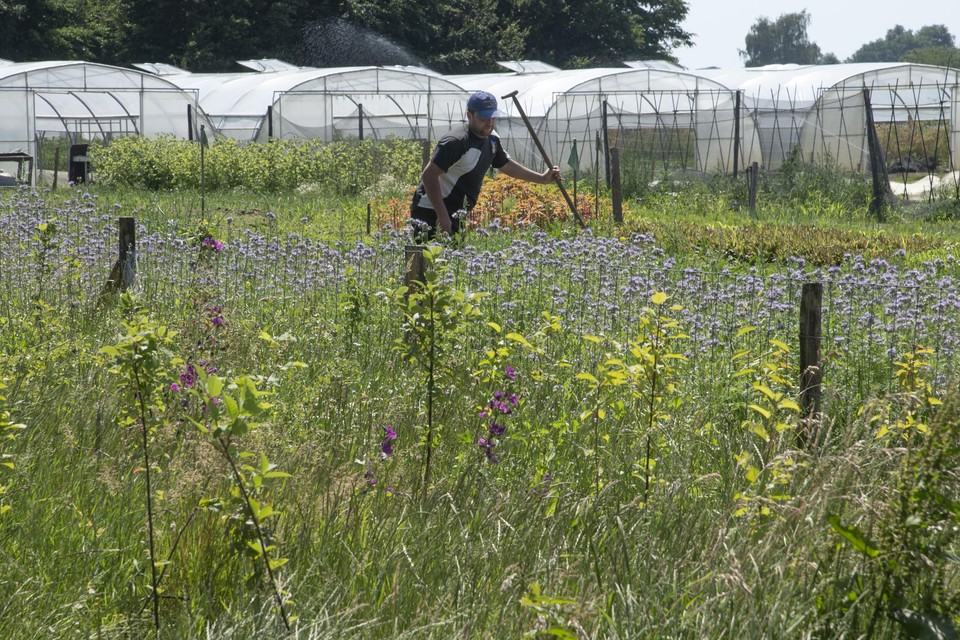 De stad gaat nu samen met de leden van de zelfoogsttuin bekijken hoe het verder moet.