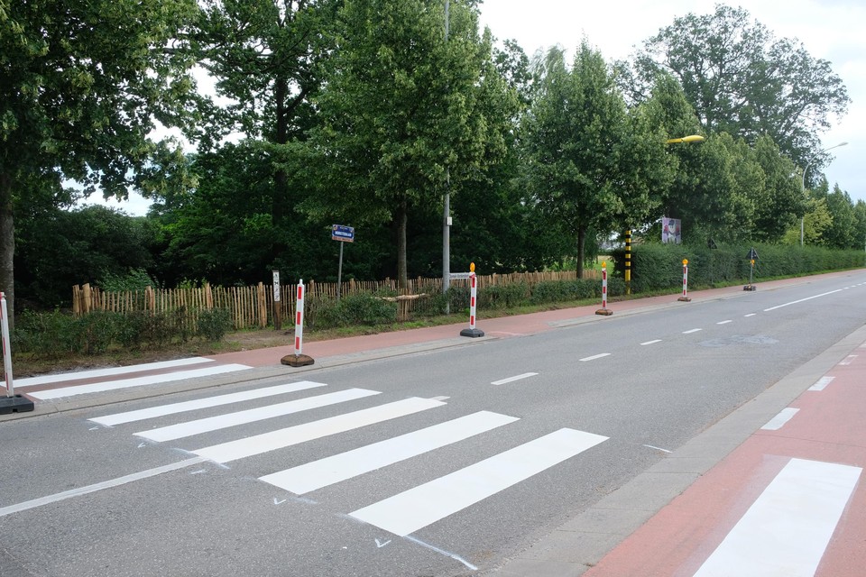 Het nieuwe zebrapad op de Horstebaan.