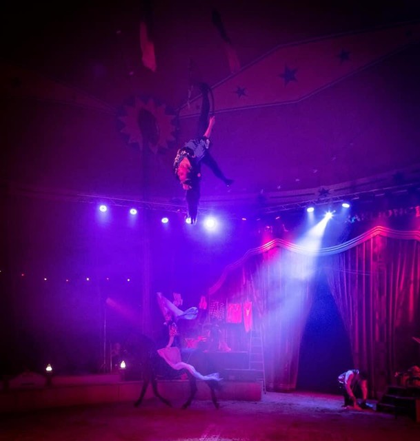 Beelden van vroegere shows.