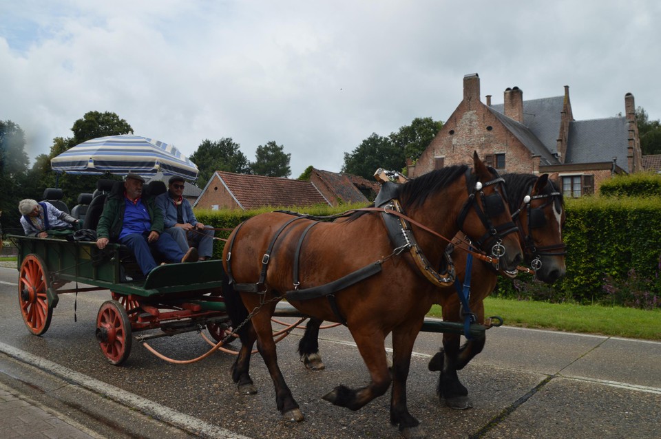 Onder de parasol die als paraplu diende.