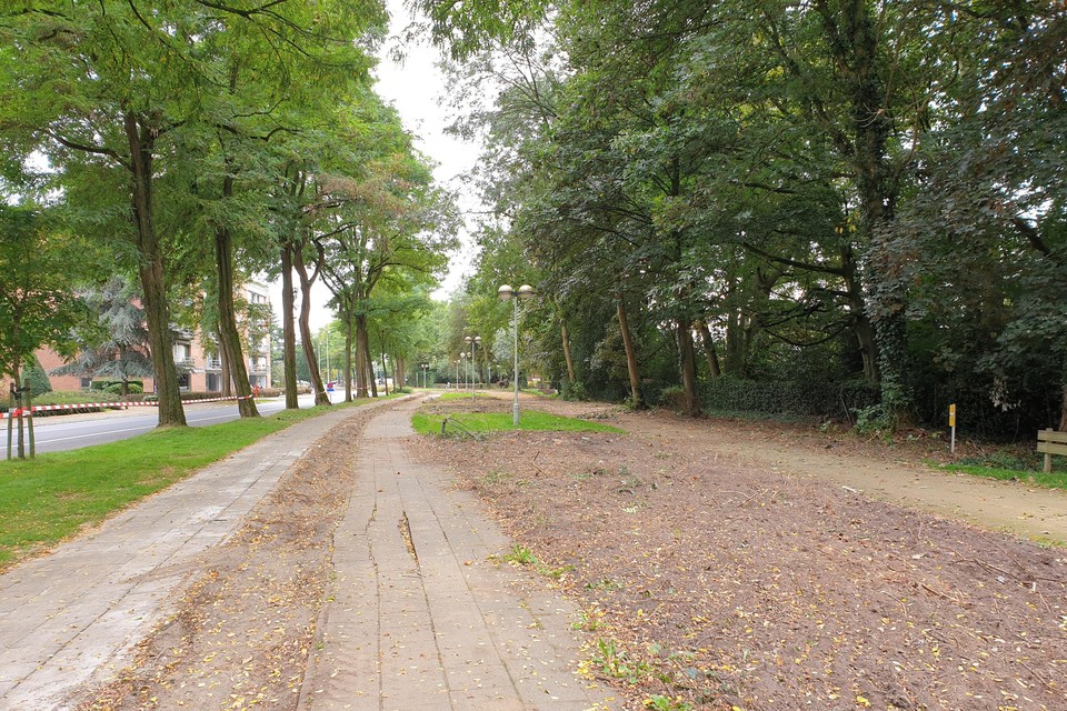 De acacia‘s en beuken mogen blijven staan en worden aangevuld met nog andere bomen.
