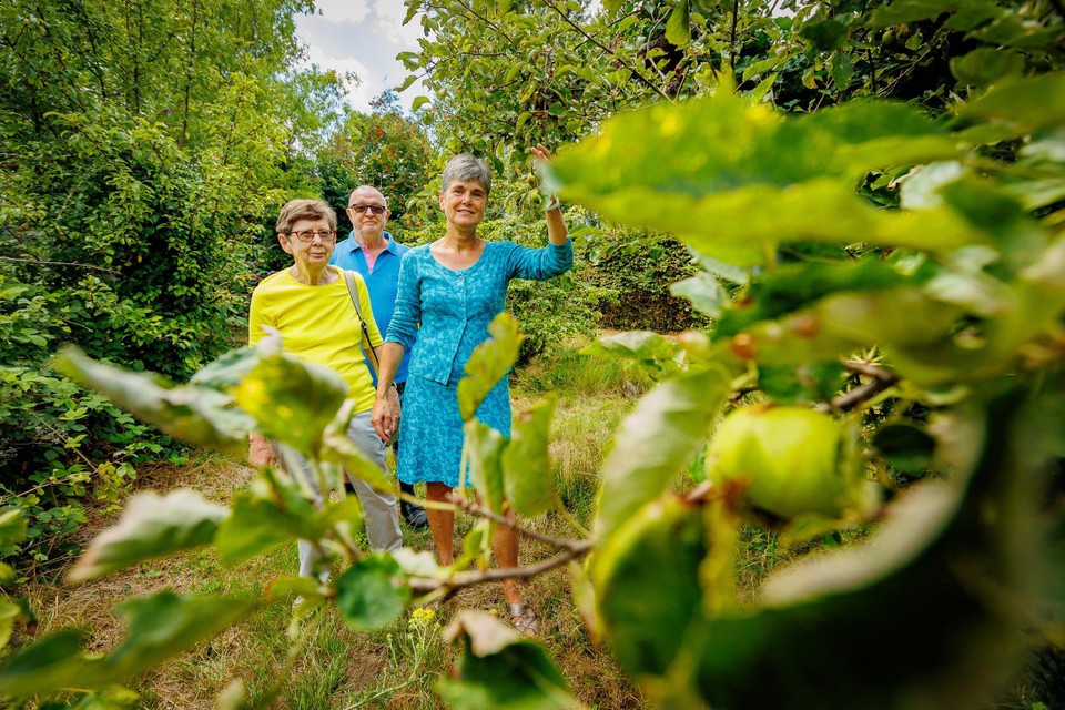 Het moestuinteam met Ilse De Bleser, Marie-Louise en Emiel tussen de fruitbomen die volop in bloei staan.