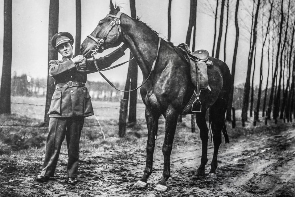 Een Kempense boswachter van het Koninklijk Domein met het paard van Leopold III.