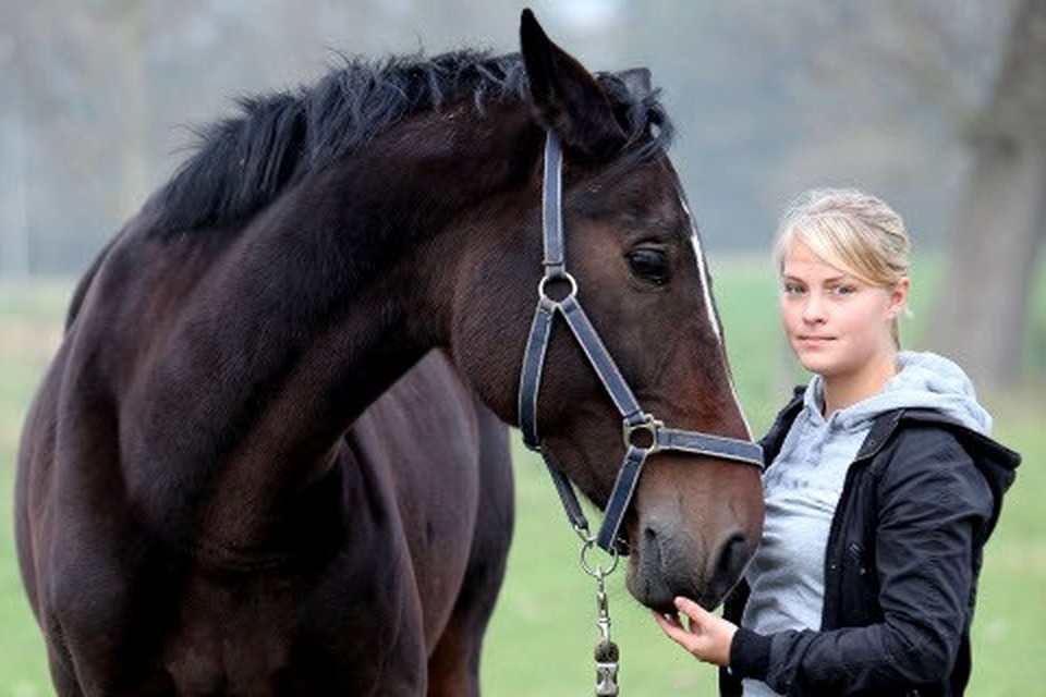 Marty Fielding Trillen Vol Regen van klachten tegen frauduleuze paardenhandel uit Herselt (Herselt) |  Gazet van Antwerpen Mobile