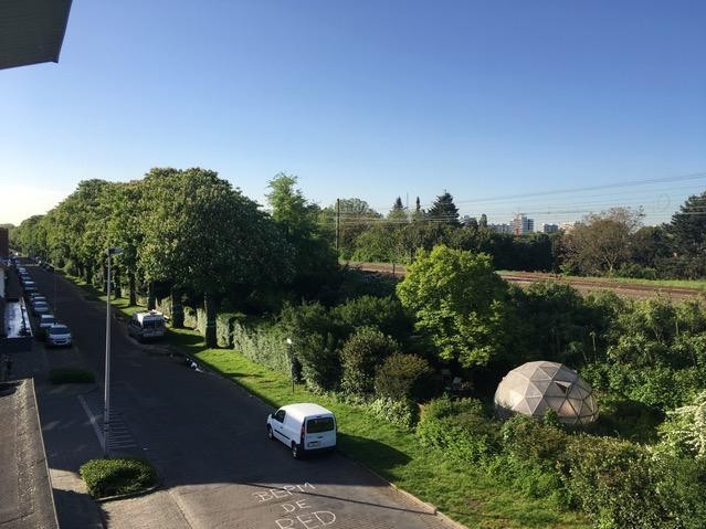 De groene berm naast de Saffierstraat.