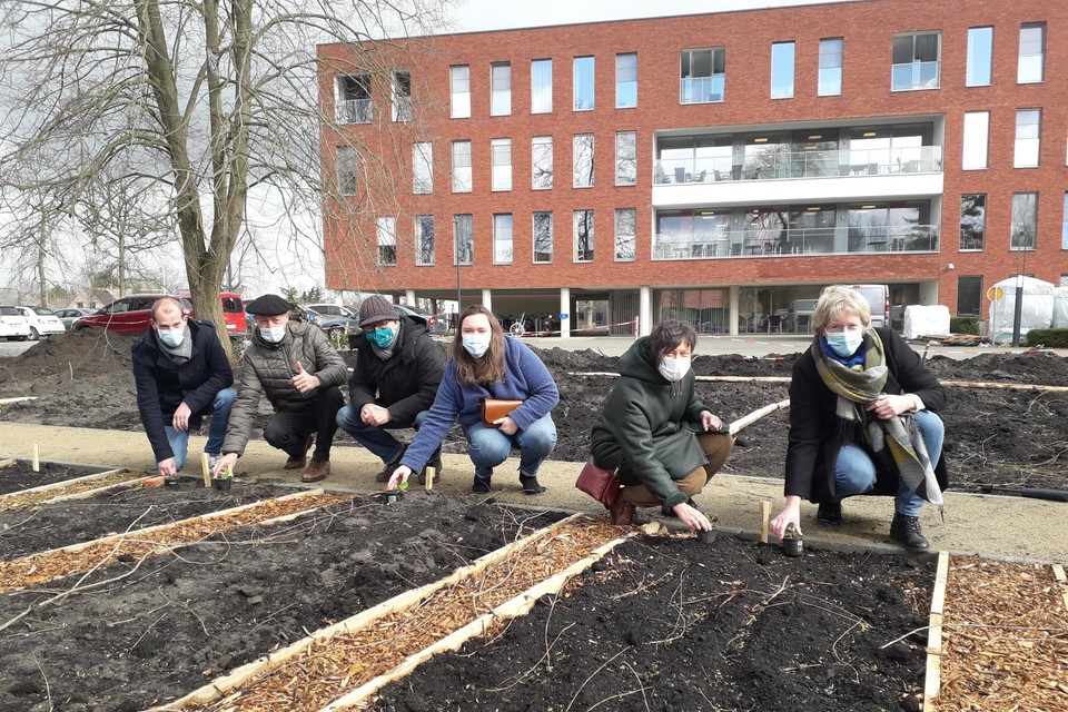 Alex de Kind (Coda), schepen Sus Vissers (CD&V), Marc Van Gils (Velt), Julie Vermeiren, Kathleen Helsen (gedeputeerde) en schepen Katrin Kempenaers (CD&V) planten de eerste plantjes in de nieuwe samentuin Den Hof in Gooreind.
