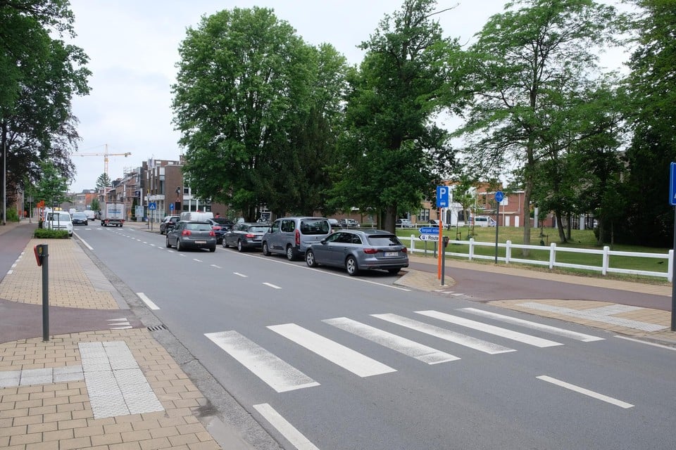 Het zebrapad aan de Christiaan Pallemansstraat.