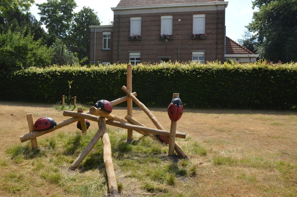 De lieveheersbeestjes zijn niet echt op ware grootte.