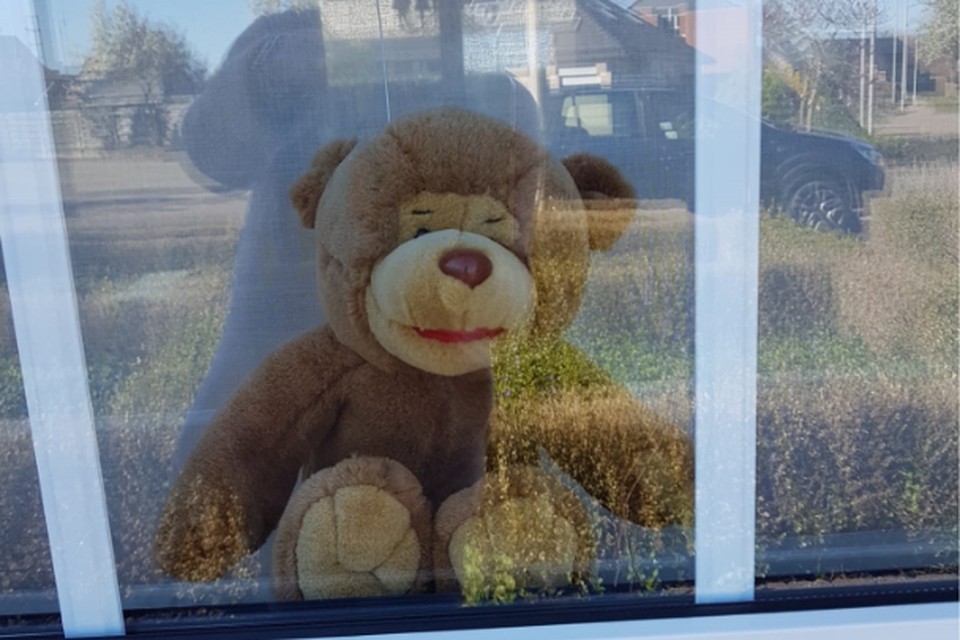 Een beer achter het raam in Tessenderlo. 