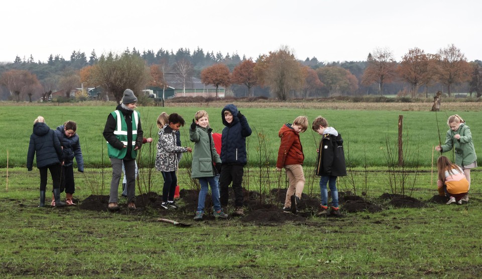 Eind vorig jaar plantten leerlingen van gemeentelijke basisschool Wigo al extra groen in natuurpark WilderTnis.