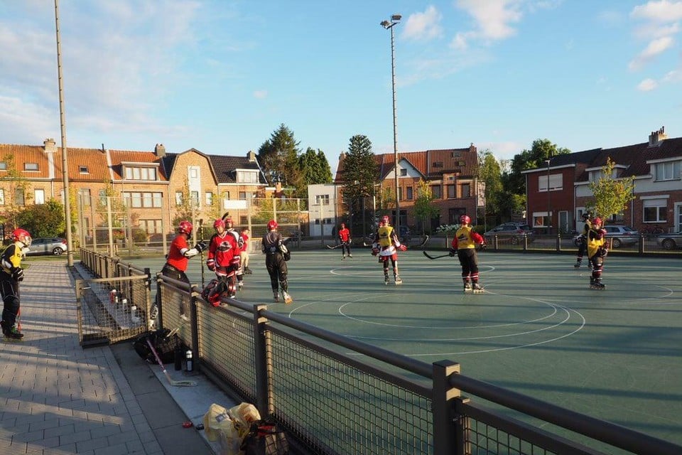 Inlinehockeyclub Lapwings.