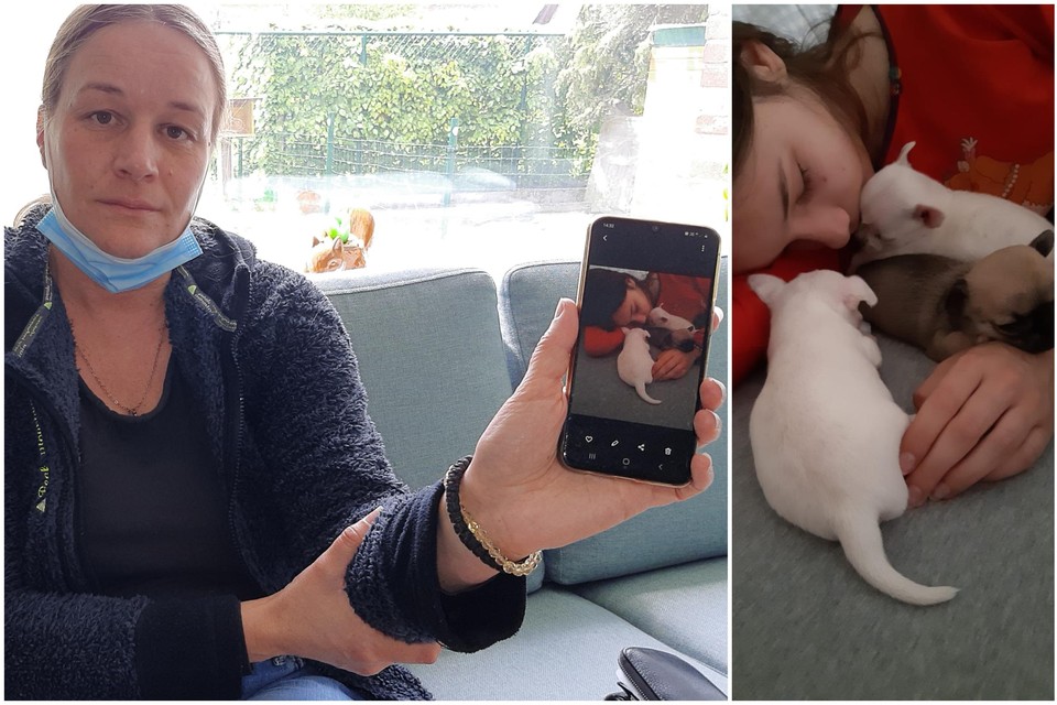 Kathleen Janssens toont op haar gsm een foto van haar dochter Charlotte met twee van de pups.