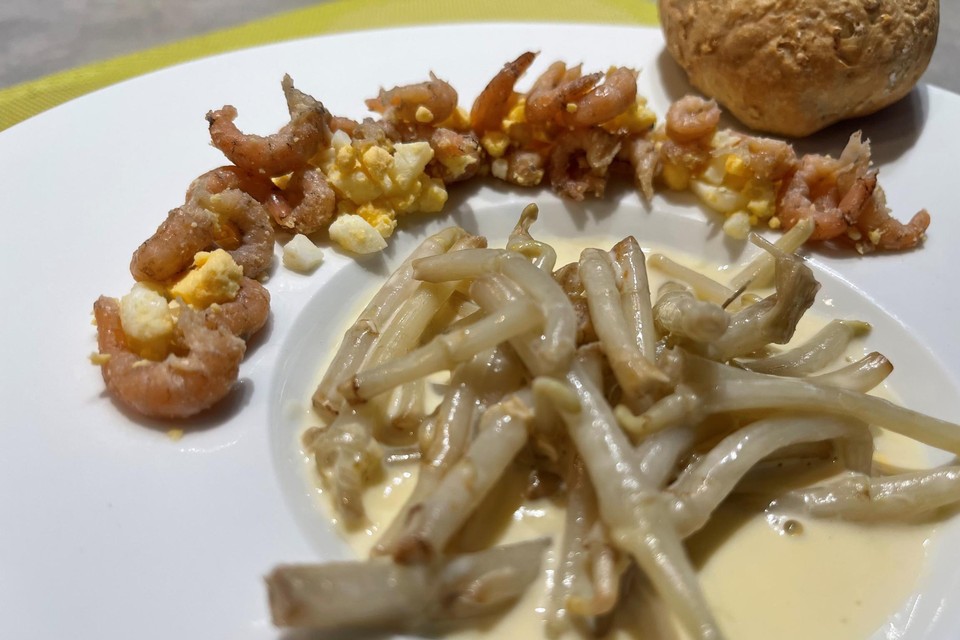Hopscheuten in een roomsausje met witbier, garnaaltjes en ei.