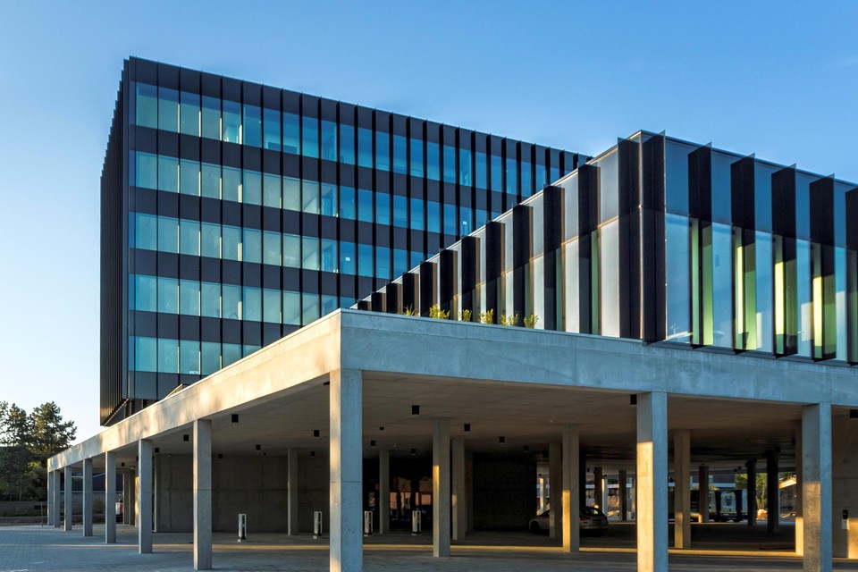 De negen Geelse Netflowmedewerkers hebben hun intrek genomen in het Square One-gebouw waar ook Netropolix huist.