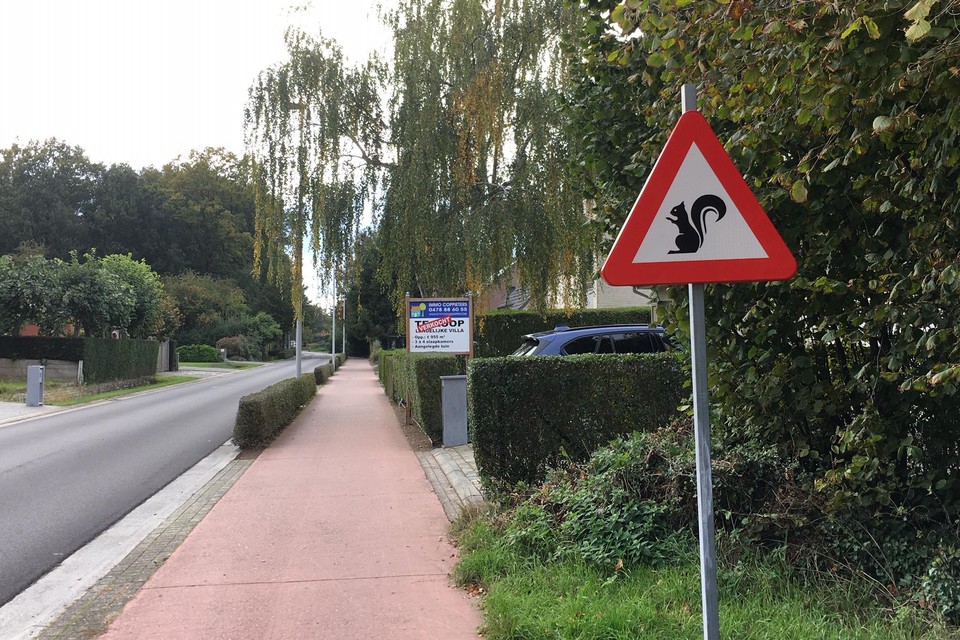 Het bord in de Landstraat. Hier komt ook nog een ‘eekhoornbrug’. 