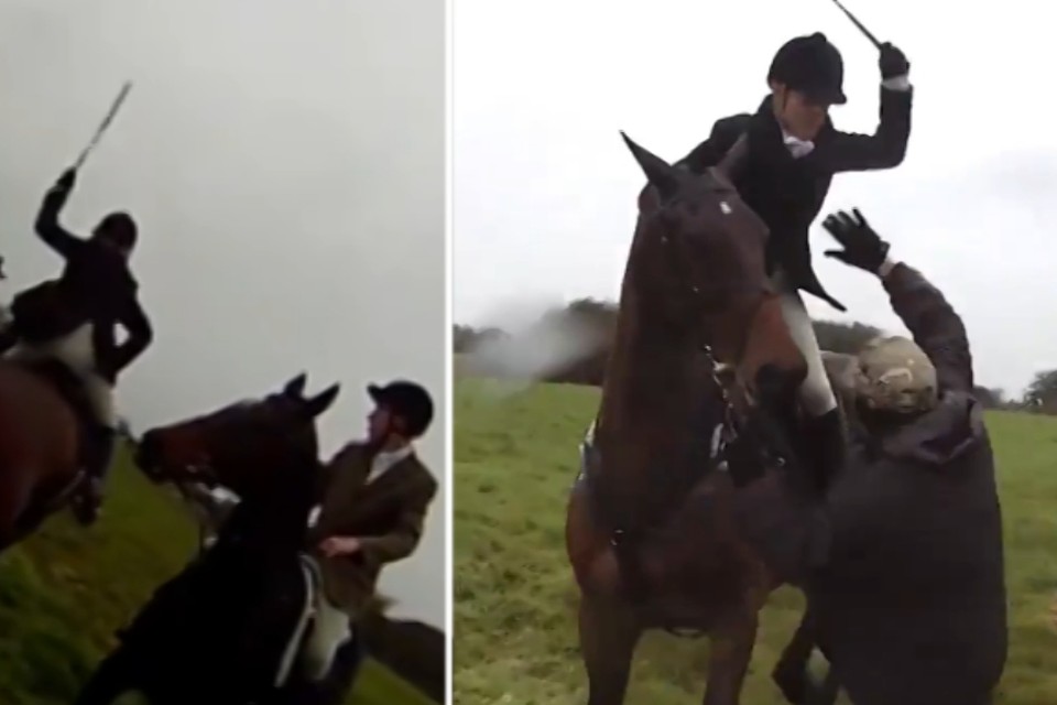 Van hen Kolonel Hertog Ruiter slaat gemaskerde actievoerder met zweep: “Laat mijn paard met rust!”  | Gazet van Antwerpen Mobile