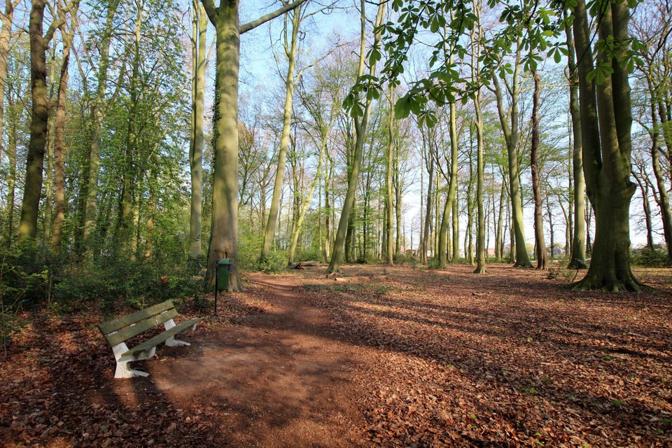 Het Hulgenrodebos zal vlotter bereikbaar worden voor wandelaars.