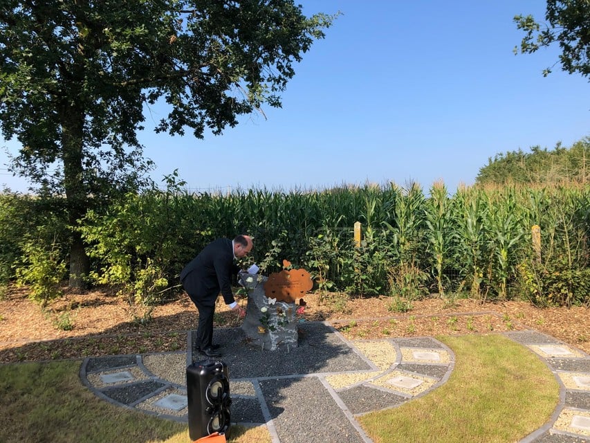 Burgemeester Bart Craane legt een witte roos bij het kunstwerk op de hartjesweide in Vlimmeren.