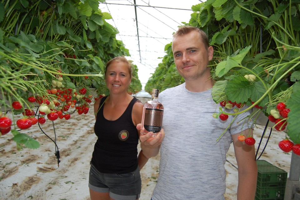 Lieve van De Aardbeihoeve en brouwer Dries tussen de aardbeien.