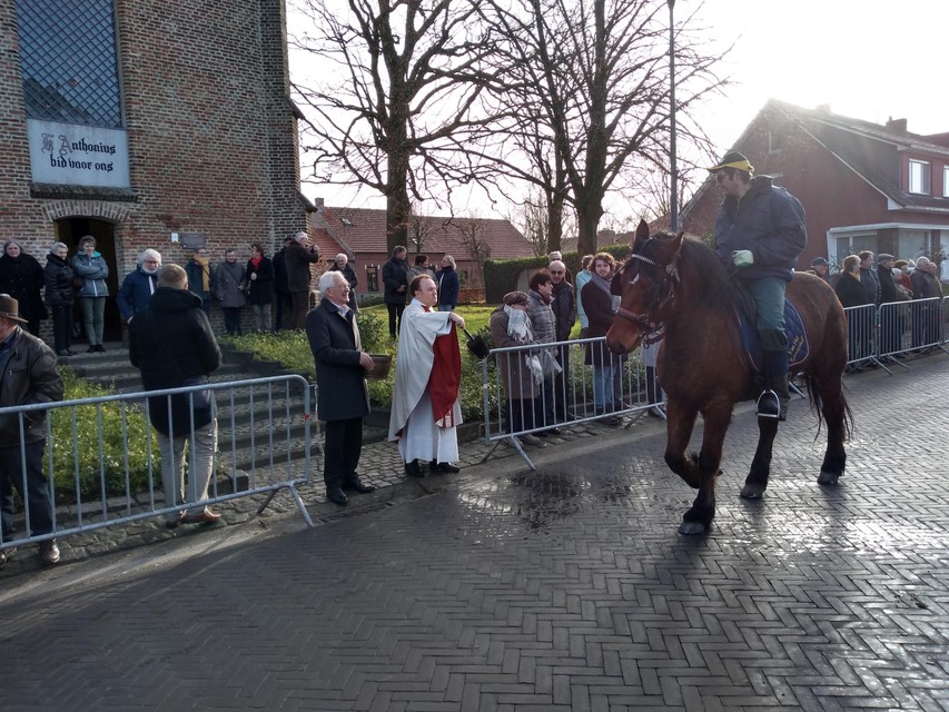 De priester zegent zondag aan de kapel van Achtel in Rijkevorsel opnieuw de dieren tijdens de Sint-Antoniusviering. 