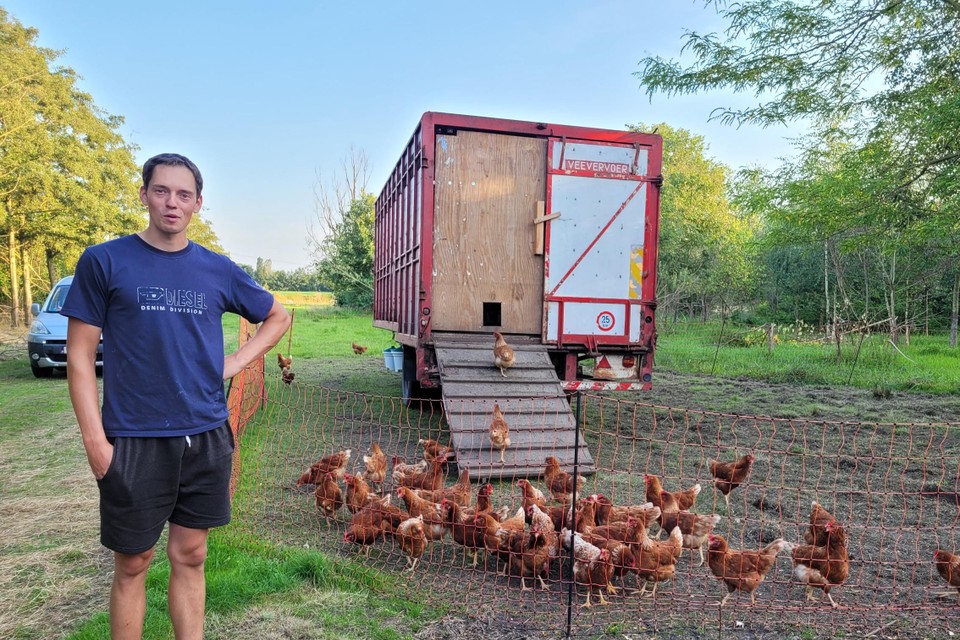 waterstof deken muur David (25) droomt ervan boer te worden en bouwde mobiele kippenren: “Eitjes  zijn duurder, maar mensen willen kwaliteit” (Aartselaar) | Gazet van  Antwerpen Mobile