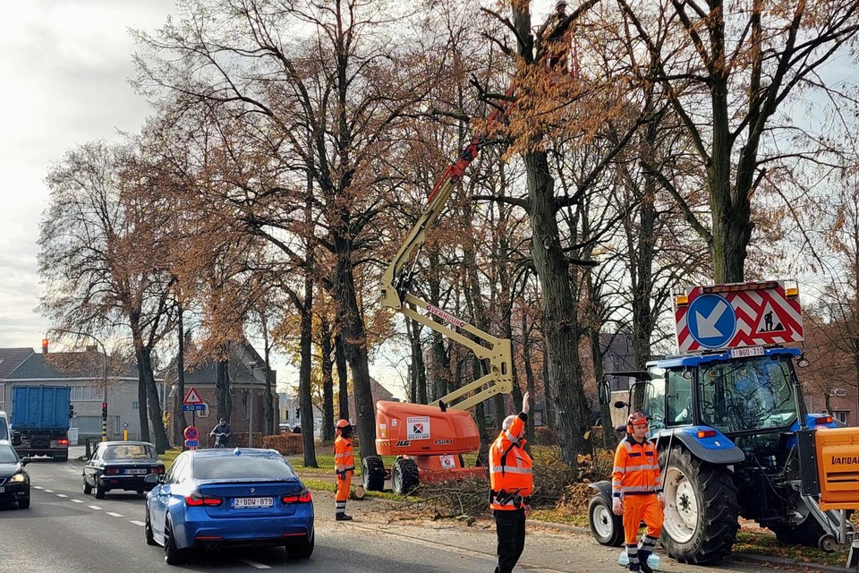 Opdat de werken veilig konden, kwam de politie ter plaatse om bijstand te verlenen.