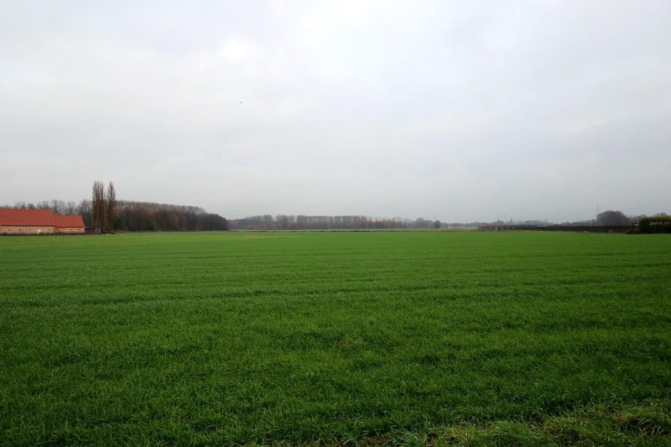 De inwoners denken na over het groen zoals in de Molenbeekvallei.