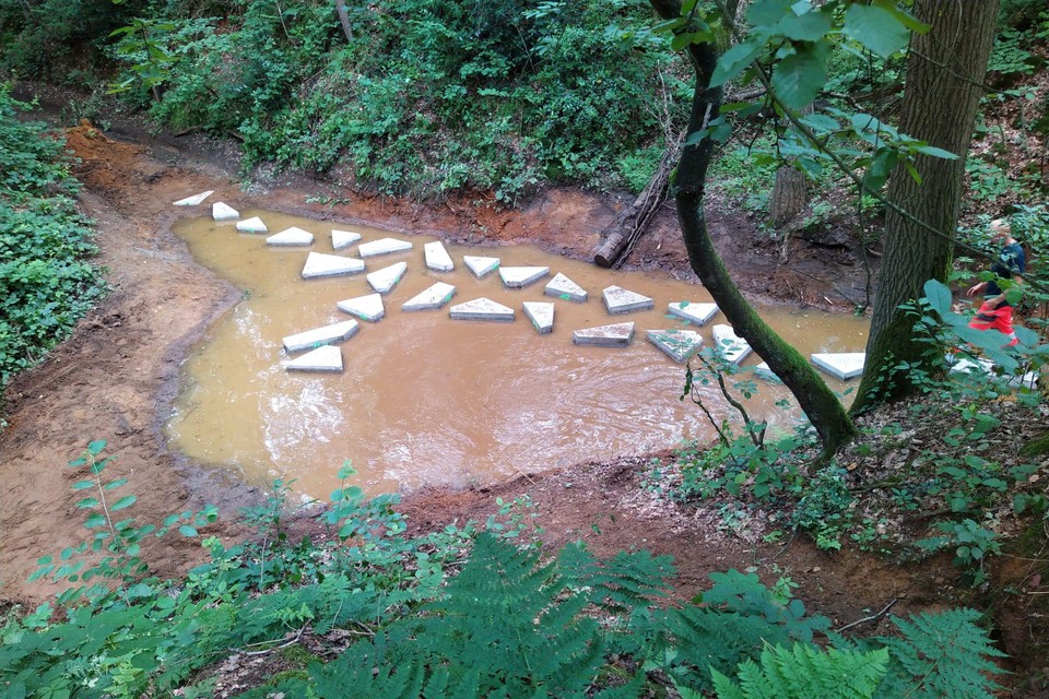 Wandelaars kunnen gebruikmaken van stapstenen om over het water op de Hoge Weg in Kasterlee te stappen.